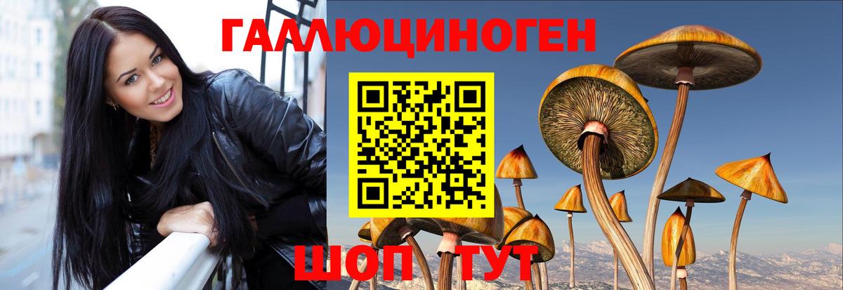 Галлюциногенные грибы мицелий  Вход с VPN  Светлоград 